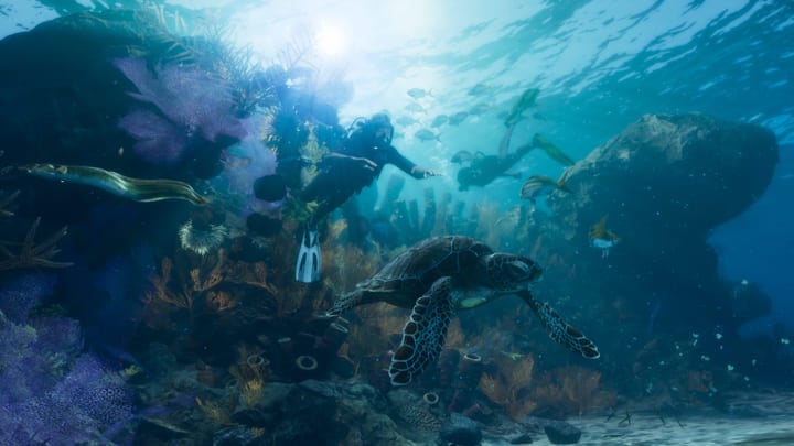 Scène sous-marine dans les Leonida Keys: plongeurs, tortue et coraux