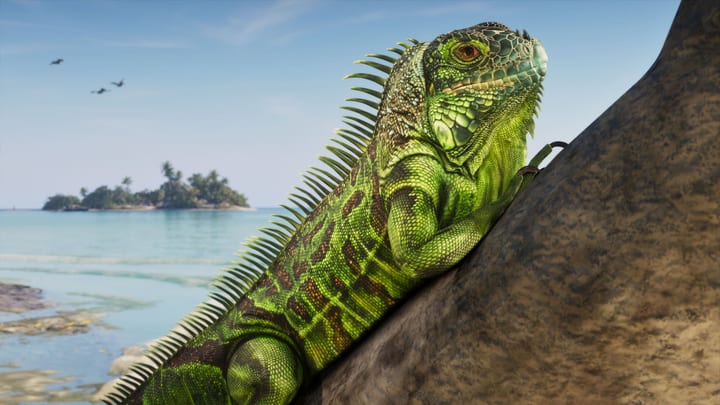 Iguane vert sur un rocher face à la mer des Leonida Keys