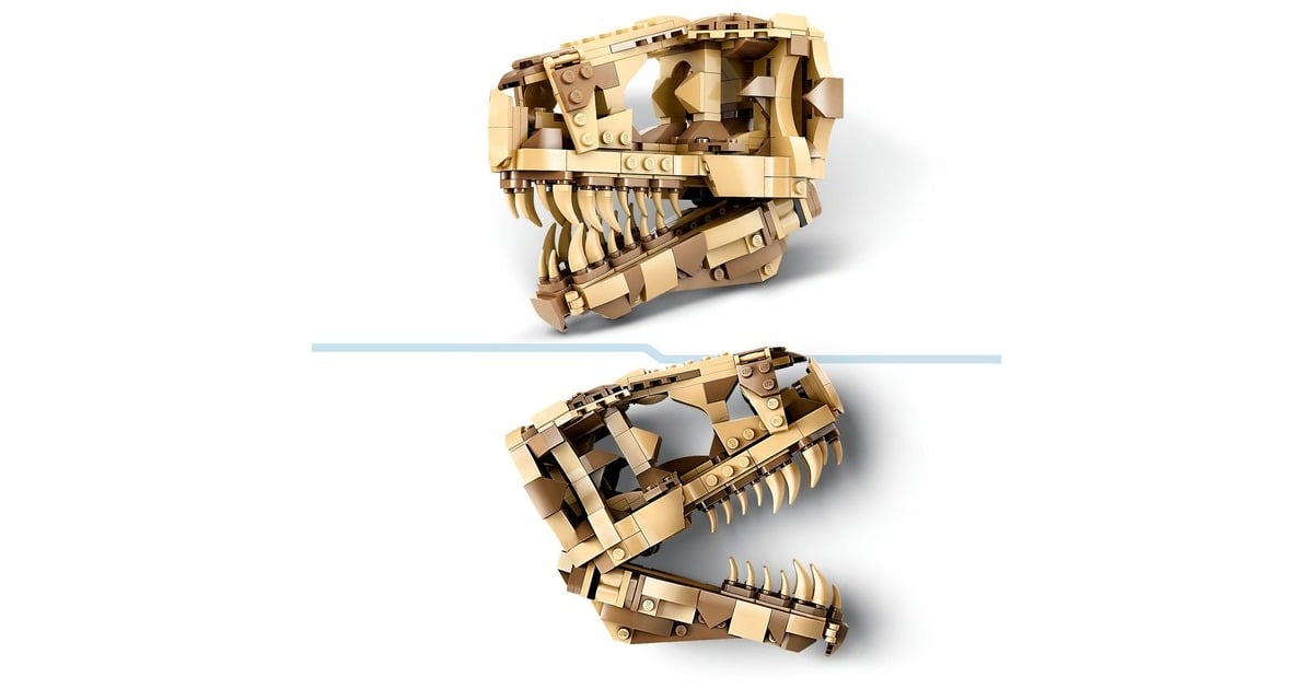 Lego Jurassic World Les Fossiles De Dinosaures : Le Crâne Du T
