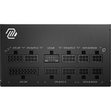 MSI MAG A750GL, 750 Watt alimentation  Noir, 3x PCIe, Gestion des câbles