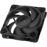 ARCTIC P12 Pro PST ventilateur de boîtier Noir, 120 x 120 x 25 mm, PWM