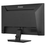 iiyama ProLite X2491H-B1 23.8" Moniteur  Noir, HDMI, DisplayPort