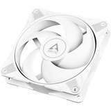 Arctic P12 Max, Ventilateur de boîtier Blanc