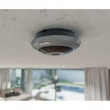 Reolink Caméra fisheye panoramique 360° 6 MP pour l'intérieur, Caméra de surveillance Gris, 4K, Wi-Fi, PoE