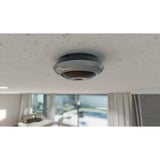 Reolink Caméra fisheye panoramique 360° 6 MP pour l'intérieur, Caméra de surveillance Gris, 4K, Wi-Fi, PoE