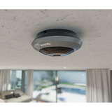 Reolink P520-GRAY, Caméra de surveillance Gris