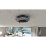 Reolink P520-GRAY, Caméra de surveillance Gris