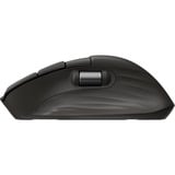 HP 785M Ultra-Fast-Scroll, Souris Noir, Sans fil, Bluetooth, 6000 dpi, USB-C