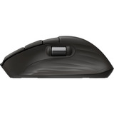 HP B8YX4AA, Souris Noir