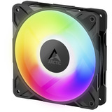ARCTIC P12 Pro A-RGB ventilateur de boîtier Noir, 120 x 120 x 25 mm, PWM