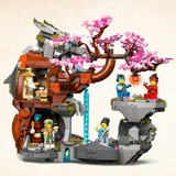 LEGO Ninjago - Le sanctuaire de la roche du dragon, Jouets de construction 71819