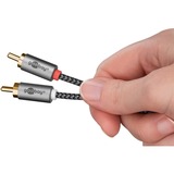 goobay Plus Câble adaptateur audio jack 3,5 mm > 2x cinch stéréo Noir/Argent, 0,5 mètre