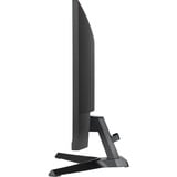 iiyama  23.8" Moniteur gaming  Noir