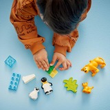 LEGO DUPLO City - Familles d'animaux sauvages: pingouins et lions, Jouets de construction 10442 - Familles d'animaux sauvages