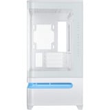ASUS PRIME AP202 TG ARGB boîtier midi tower Blanc | 2x USB-A | 1x USB-C | RGB | Window