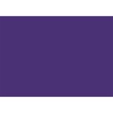 Cricut Infusible Ink Sheets - Ultra Violet, Matériau d'impression Violet