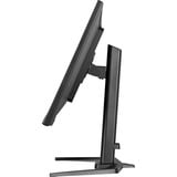 iiyama  31.5" Moniteur gaming  Noir (Mat)