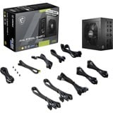 MSI MAG A750GL PCIE5 II alimentation  modulaire 750 watt Noir, 1x 12V-2x6, 3x PCIe