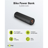 goobay 60656, Powerbank Noir