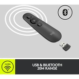 Logitech R500, Présentateur Graphite
