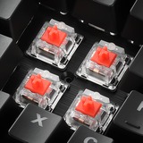 Sharkoon SKILLER SGK30 Red, Clavier gaming Noir, BE Lay-out, Huano Red, LED RGB