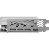 ASRock Intel® Arc B580 Steel Legend 12Go OC, Carte graphique 1x HDMI, 3x DisplayPort