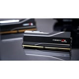 G.Skill 128 Go DDR5-6000 (2x 64 Go) mémoire vive Noir, F5-6000J3444F64GX2-TZ5NR, XMP 3.0, EXPO