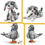 LEGO Créateur 3-en-1 - Chat joueur, Jouets de construction 31163