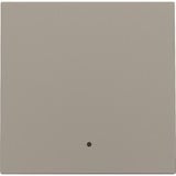 Niko Kit de finition avec lentille pour interrupteur simple Bronze