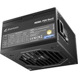 Sharkoon Rebel P20 Gen2 alimentation modulaire 1000 watt Noir, 1x 12V-2x6, 3x PCIe