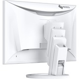 EIZO FlexScan EV2490-WT 24" Moniteur Blanc, 1x DisplayPort, 1x HDMI, 2x USB-C, 3x USB-A, 1x RJ-45
