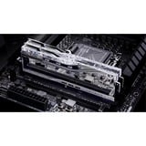 G.Skill F5-6400J3039G16GX2-TR5S, Mémoire vive Argent