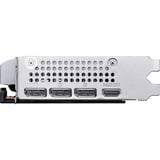 MSI GeForce RTX 5060 8G VENTUS 2X OC, Carte graphique 3x DisplayPort, 1x HDMI
