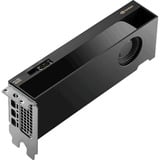 NVIDIA® RTX PRO 4000 SFF Blackwell, Carte graphique 4x DisplayPort
