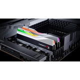 G.Skill 64 Go DDR5-6400 (2x 32 Go) mémoire vive Argent, F5-6400J3239G32GX2-TZ5RS, XMP 3.0