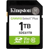 Kingston Canvas Select Plus 1 To SDXC, Carte mémoire UHS-I U3, Class 10, V30