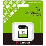 Kingston SDS3/1TB, Carte mémoire 