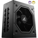 Sharkoon Rebel P20 alimentation  modulaire 750 watt Noir, 1x 12V-2x6, 4x PCIe