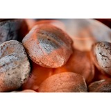 Weber Briquettes de coques de noix de coco 8 kg