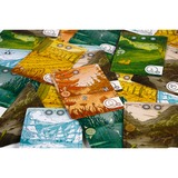 999 Games Vert d'eau, Jeu de société Néerlandais, 1 - 4 joueurs, 45 minutes, 8 ans et plus