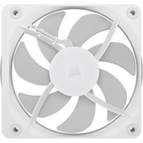 Corsair iCUE LINK RX120 II RGB PWM PC Fan Expansion ventilateur de boîtier Blanc, 120 x 129 x 26 mm