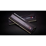 G.Skill Trident Z5 RGB 96 Go DDR5-5600 (2x 48 Go) mémoire vive Noir, F5-5600J4040D48GX2-TZ5RK, XMP 3.0