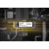 Intenso Top Performance, 256 Go SSD 3832440, M.2 2280