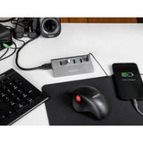 DeLOCK Hub USB 10 Gops avec 4 ports + port de chargement rapide Gris