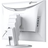 EIZO FlexScan EV2485-WT 24" Moniteur Blanc, 1x DisplayPort, 1x HDMI, 1x USB-C, 4x USB-A