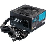 Seasonic G12 GM-850, 850 Watt alimentation  