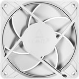 ARCTIC ACFAN00308A, Ventilateur de boîtier Blanc