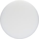 Bosch 1608613013 Disque de polissage, Roue de polissage Disque de polissage, 16 cm, Blanc