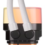 Corsair iCUE LINK TITAN 240 RX LCD RGB, Watercooling Blanc, RGB