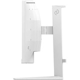 Philips Evnia 34M2C5501A 34" Moniteur UltraWide gaming incurvé  Blanc, 180 Hz, HDMI, DisplayPort, Audio, AMD FreeSync